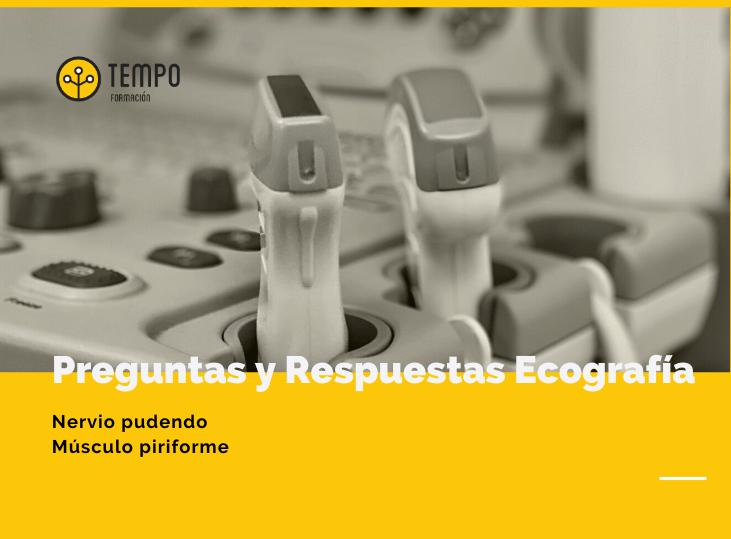 preguntas-y-respuestas-ecografia-11